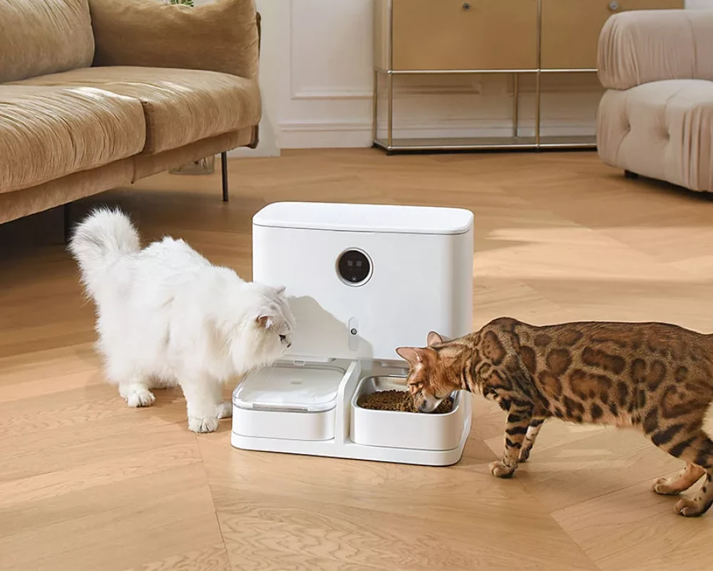 pet automatic food dispenser