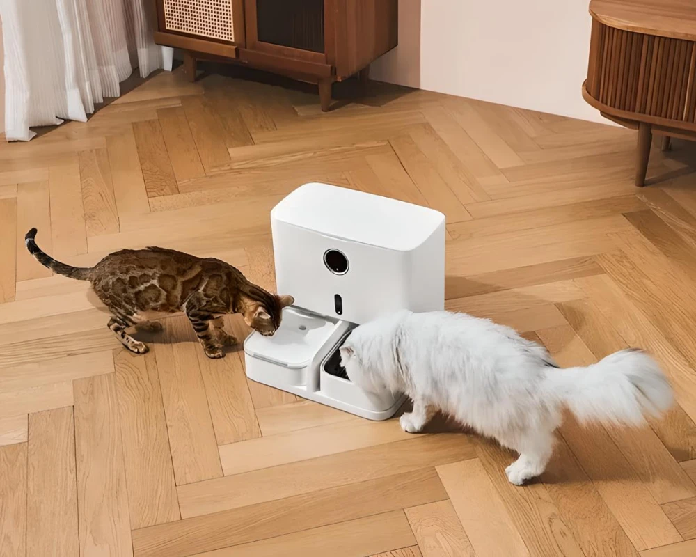 automatic pet feeding station